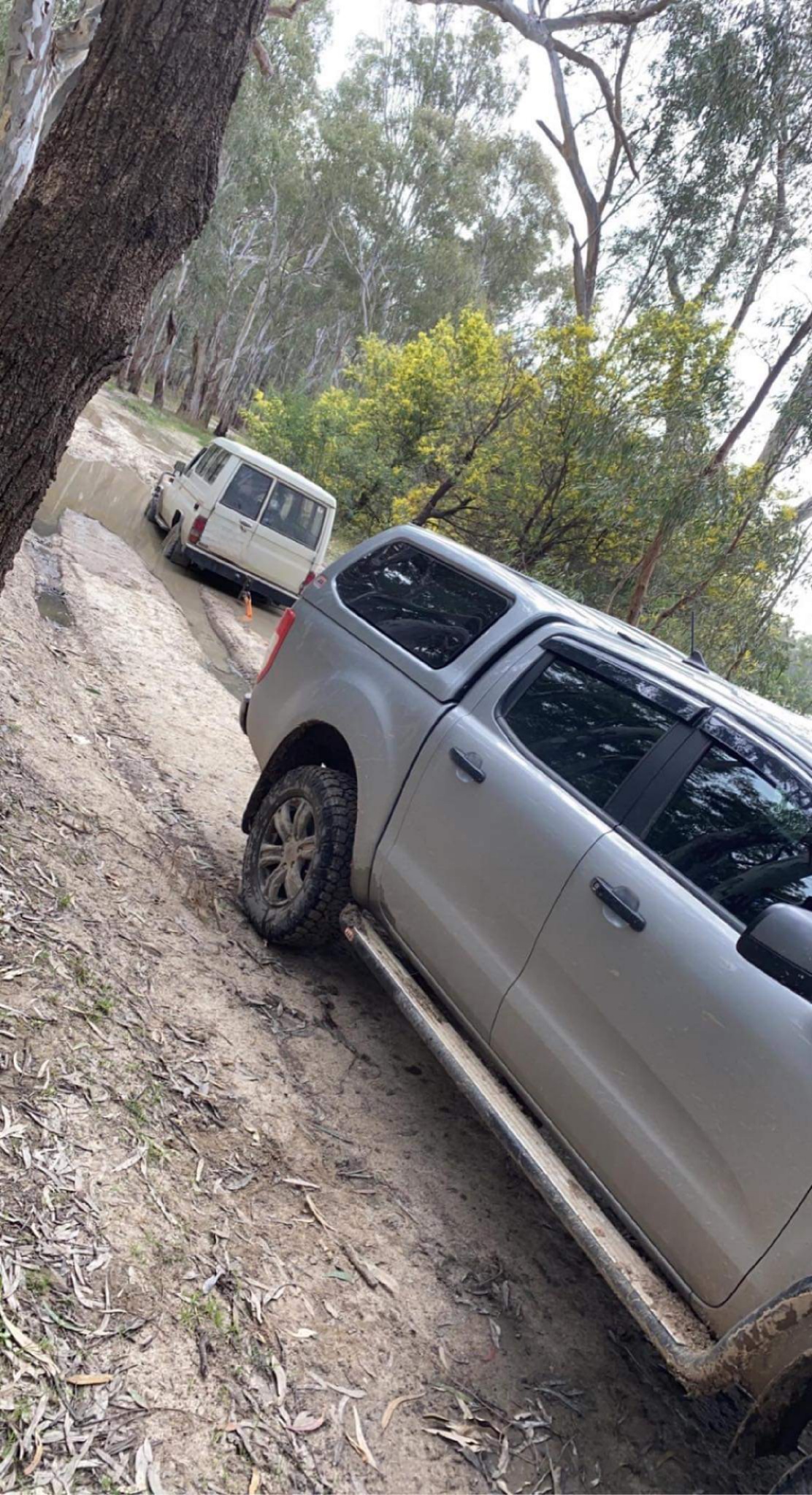 Two four-wheel drives on a muddy bush track among river red gums